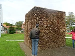 Kubus